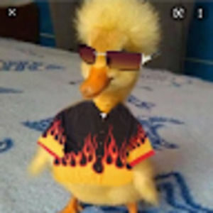 Meet your Posher, Waylon